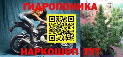 молекула духа Обь