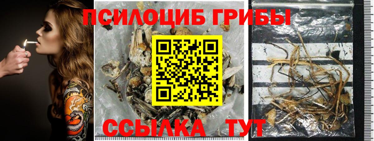 Орск  Псилоцибиновые грибы ЛСД  Вход с VPN 